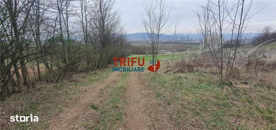 Teren de 5300 mp, în Ciugud