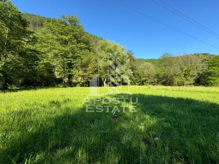 Teren Construcții extravilan de 1300 mp, în Groș