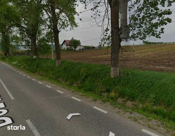 Teren 5000 mp de vanzare la strada in voinesti Iasi - 1