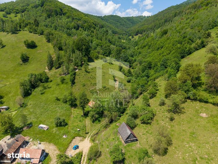 Teren de 11381 mp, în Moieciu