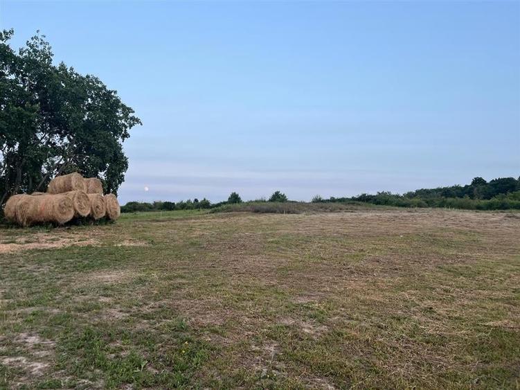 Teren Construcții intravilan de 903 mp, în Paleu