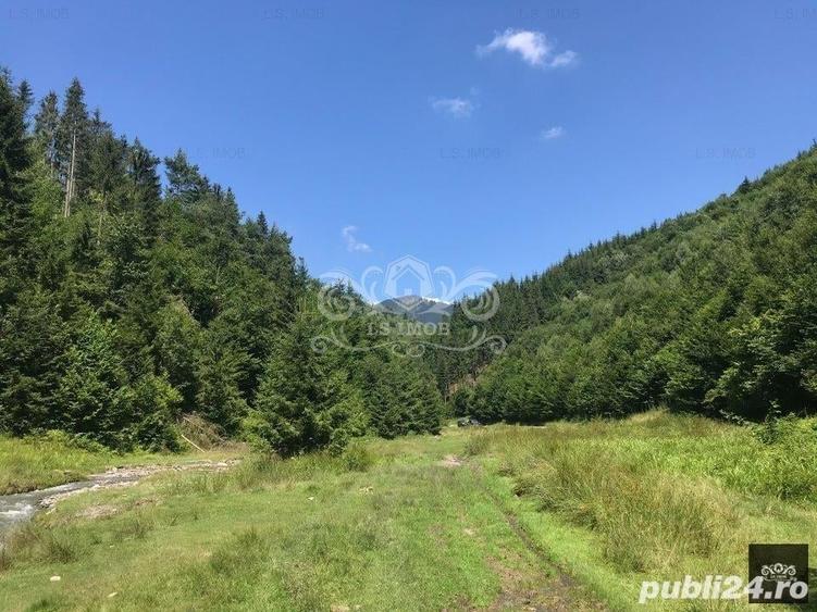 Teren de 63000 mp, în Bughea de Sus