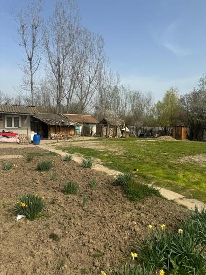 Casă individuală cu 3 camere cu Teren 1700 Mp în Bărcănești