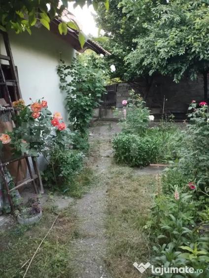 Casă cu 3 camere cu Teren 268 Mp în Central