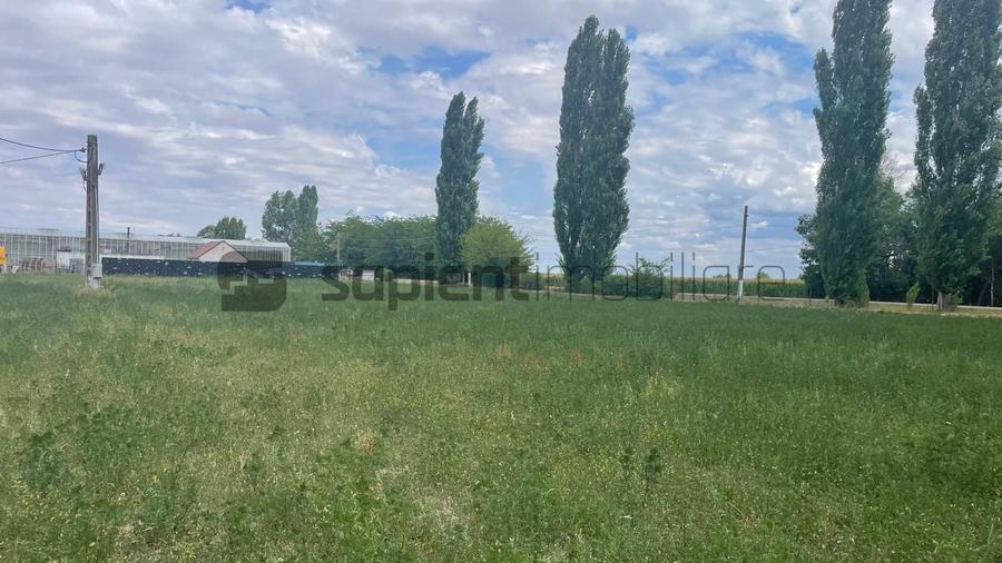 Teren Construcții extravilan de 3783 mp, în Batăr