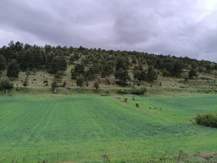 Teren de 1400 mp, în Central