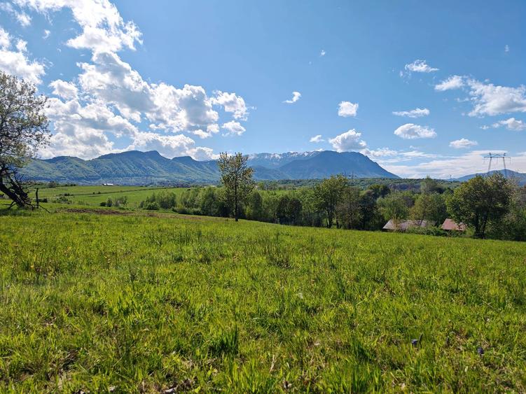 Teren Construcții intravilan de 5783 mp, în Bran