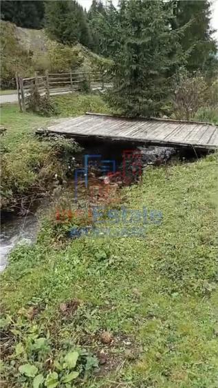 Teren de 22451 mp, în Dorna-Arini