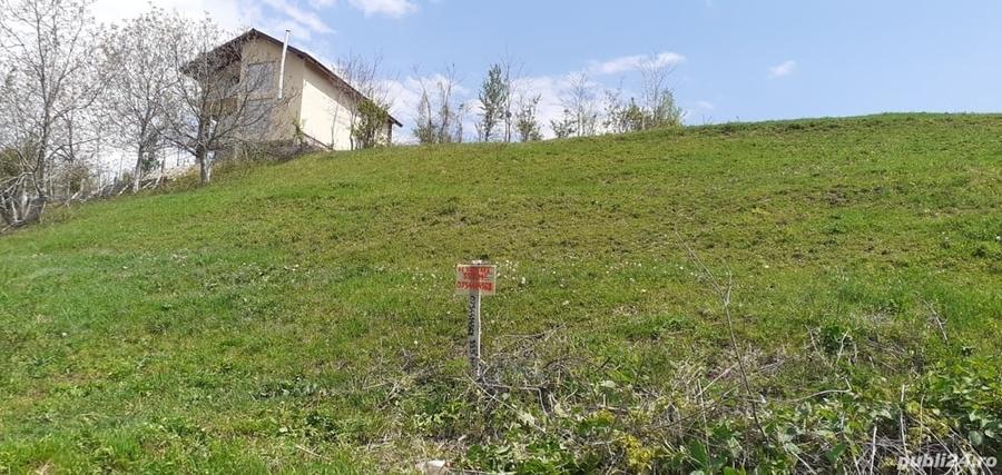 Teren de 555 mp, în Viforâta