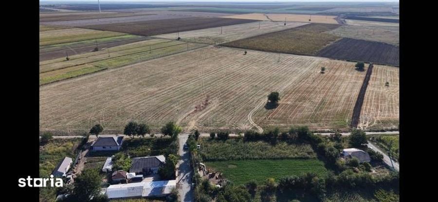 Teren de 1680 mp, în Pecineaga