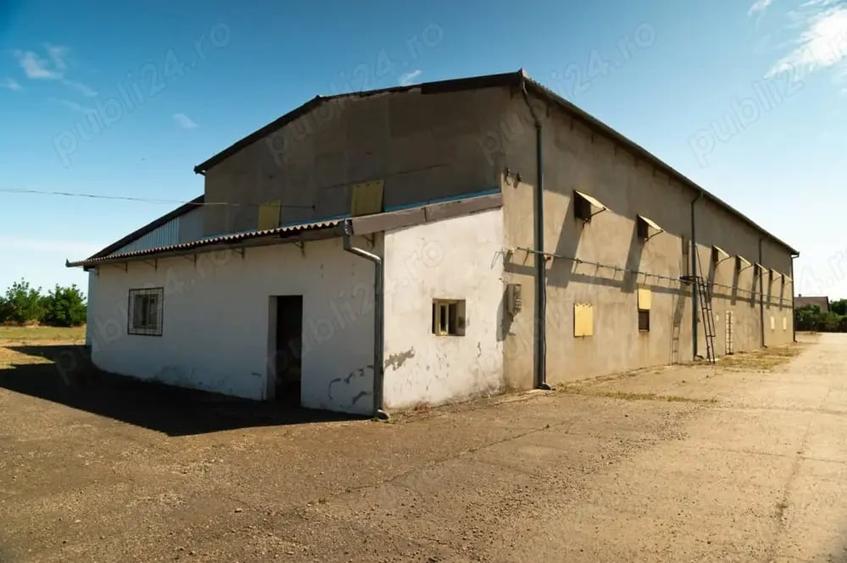 Spațiu comercial, de 7,500 mp, în Roșiori