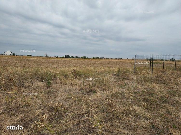 Teren dubla deschidere, zona de lacuri Berceni Ilfov - 3