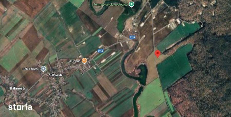 Teren de 33000 mp, în Răcari