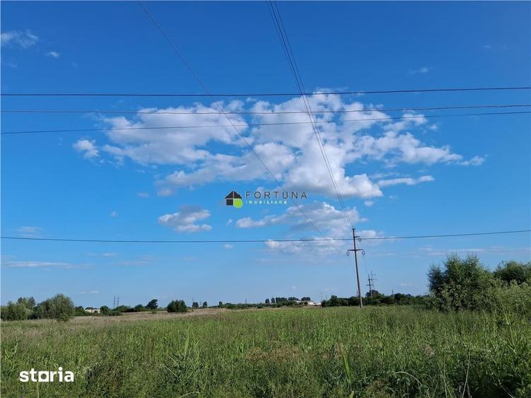Teren de 2500 mp, în Boldești