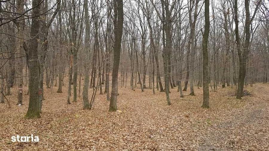 Teren de 90000 mp, în Central