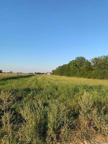 Teren Construcții intravilan de 10000 mp, în Creața
