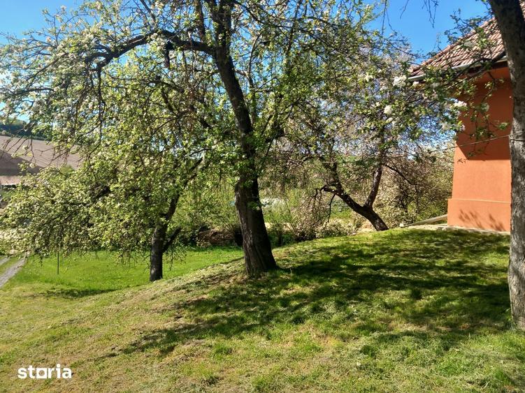 Casă cu 3 camere cu Teren 10632 Mp în Unirii