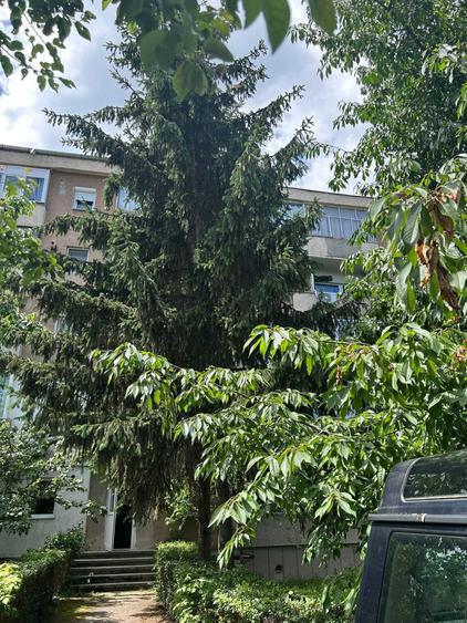 Apartament de vanzare POLITIA NOUA DEVA - 1