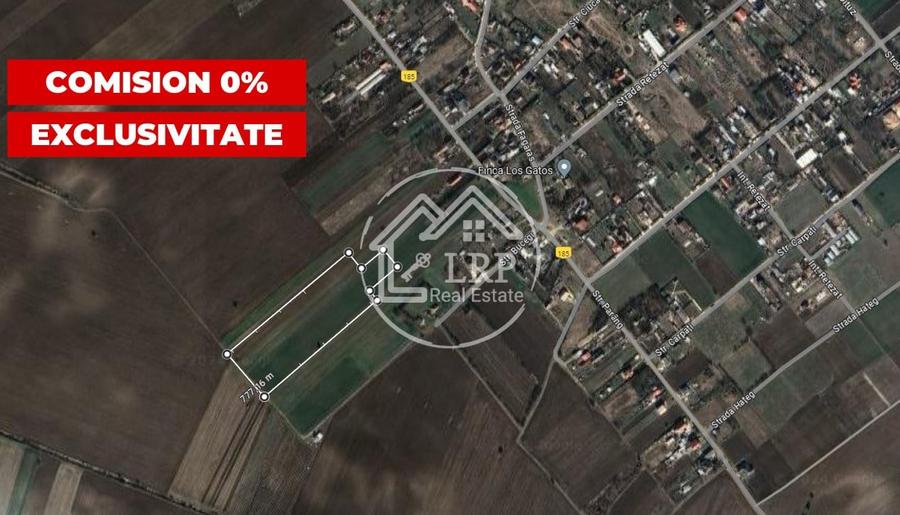 Teren Construcții intravilan de 25571 mp, în Dascălu