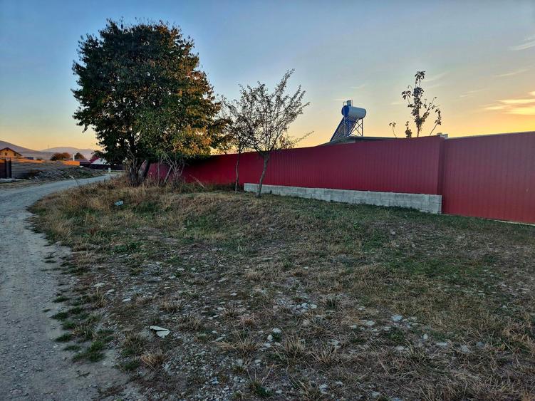 Teren Construcții intravilan de 1450 mp, în Cărpiniș