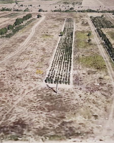 Teren de 6670 mp, în Cârcea