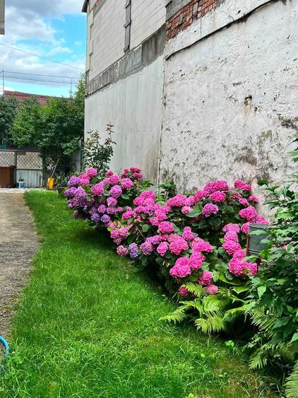 Casă cu 4 camere în Bulgaria