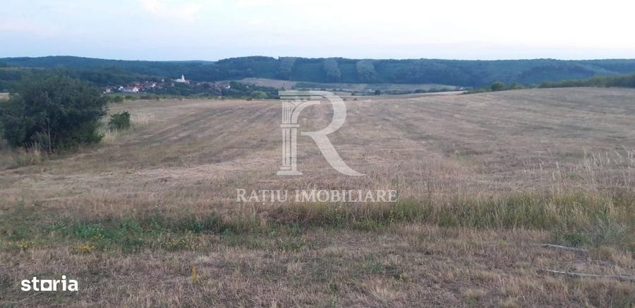 Teren extravilan | Betfia | 9664 Mp | Bihor - 2