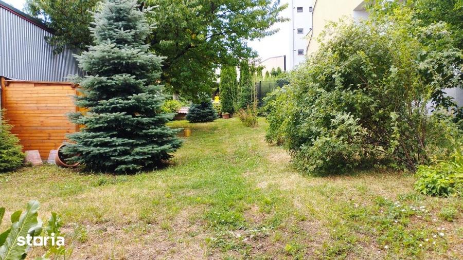 Ocazie! Casa de 300 mp utili, 1000 mp teren, zona Sapte Strazi, Gruia! - 4