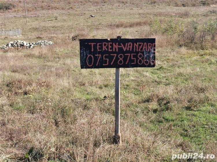 Teren De Vanzare - 3