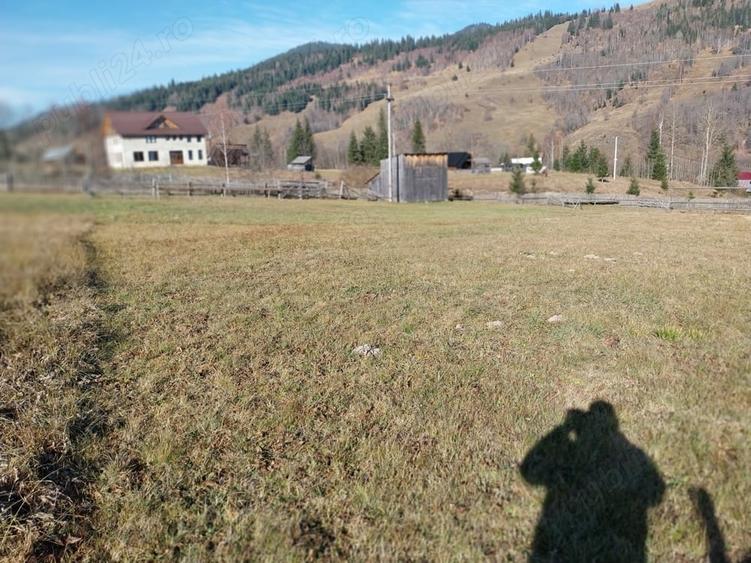 Teren de 6529 mp, în Valea Stânei