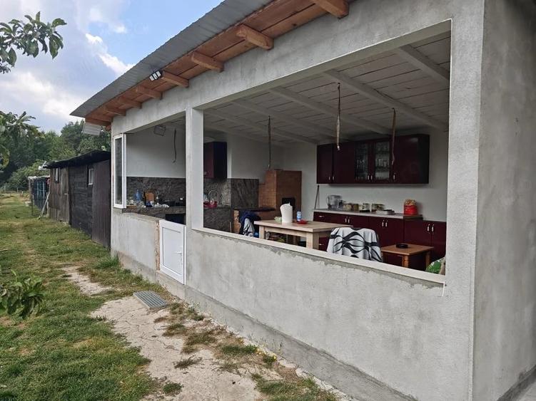 Casă cu Teren 6000 Mp în Bunești (Cotmeana)