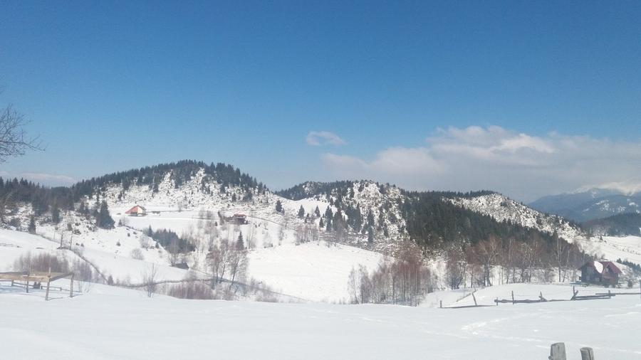 Teren agricol extravilan de 17537 mp, în Fundata