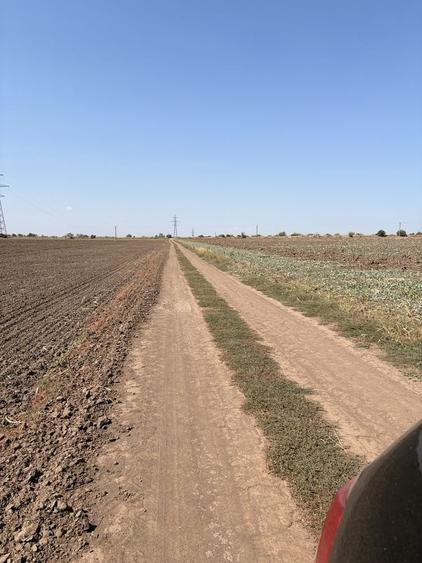 Teren de 15000 mp, în Agigea