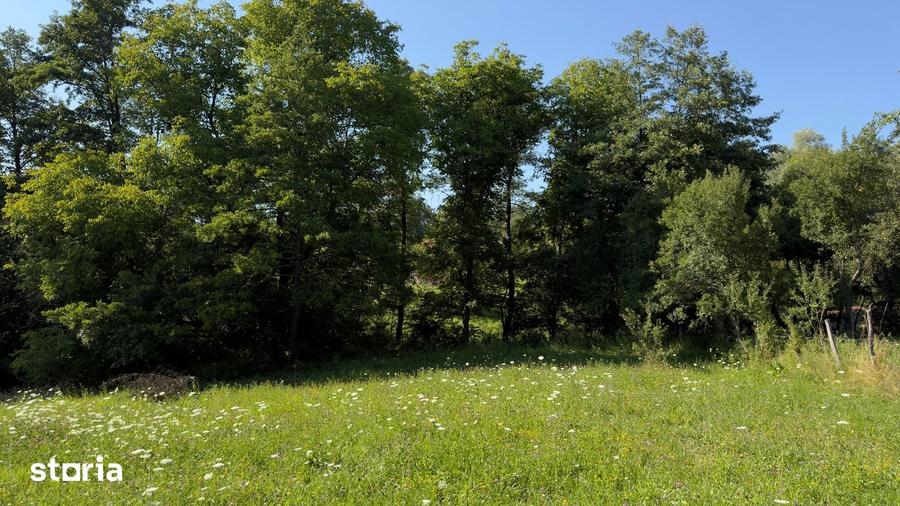 Teren Parau | Valea Danului, Curtea de Arges | Vidraru | - 10