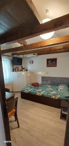 Garsoniera de inchiriat | Victoriei | Centrala | Pet-friendly - 4