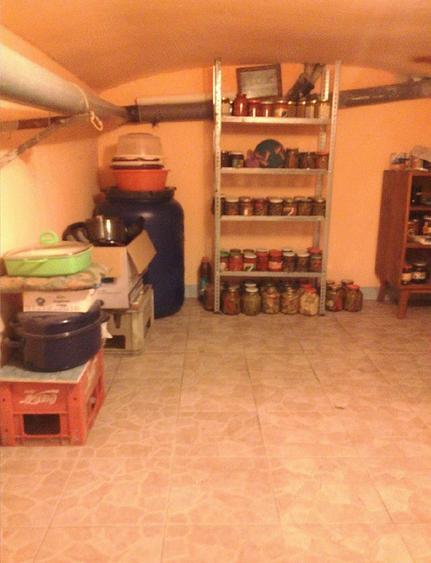 Casă cu Teren 229 Mp în Pârneava