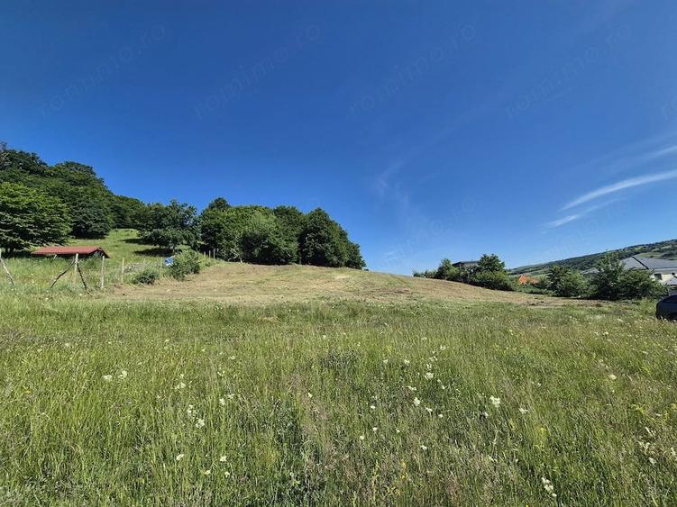 Teren de 8600 mp, în Popești