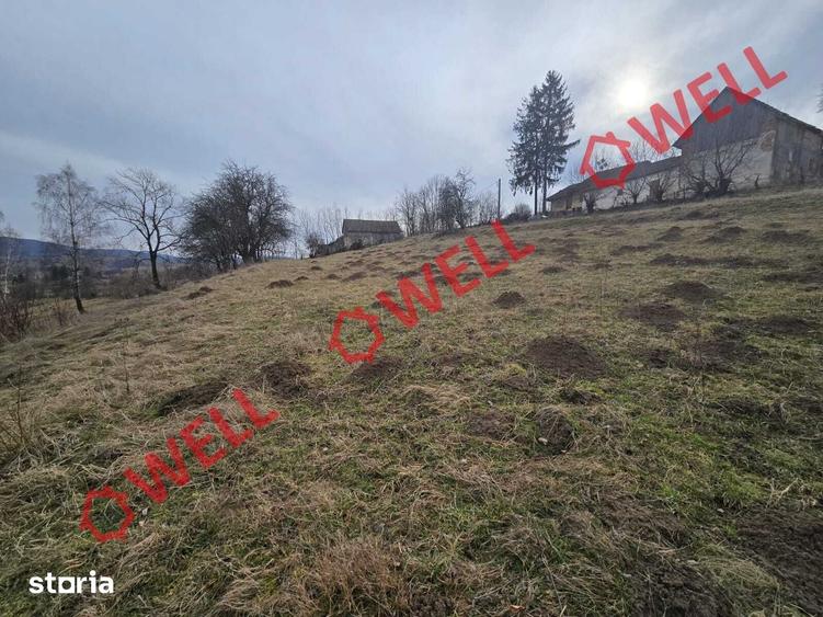 Teren extravilan de vanzare in Sarama?, pe punctul de numit PARAIE - 1