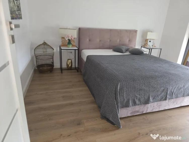 Inchiriez casa cu 5 camere in Subcetate ID:45401 - 3