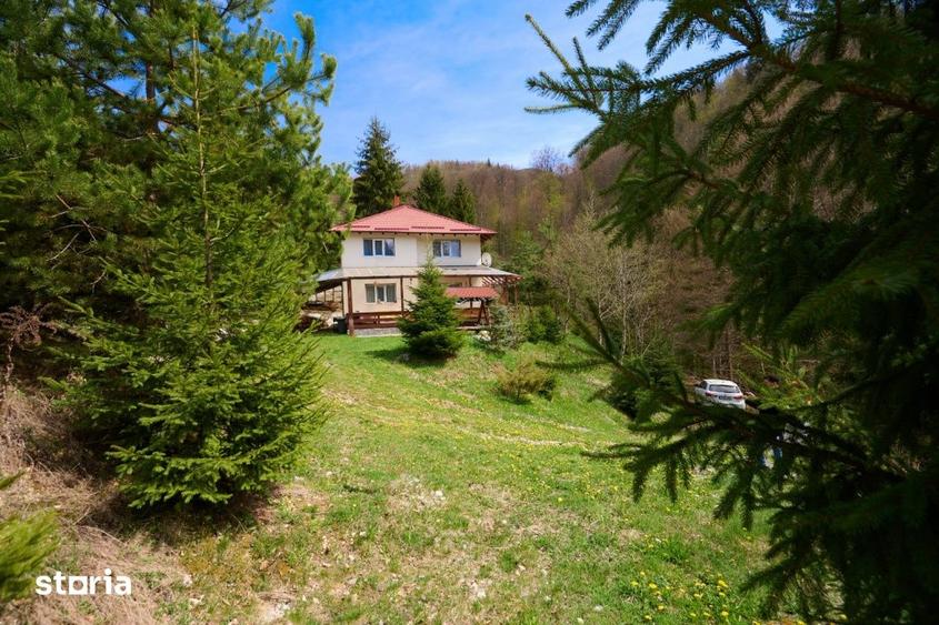 Casă cu 5 camere cu Teren 6412 Mp în Dâmbovicioara