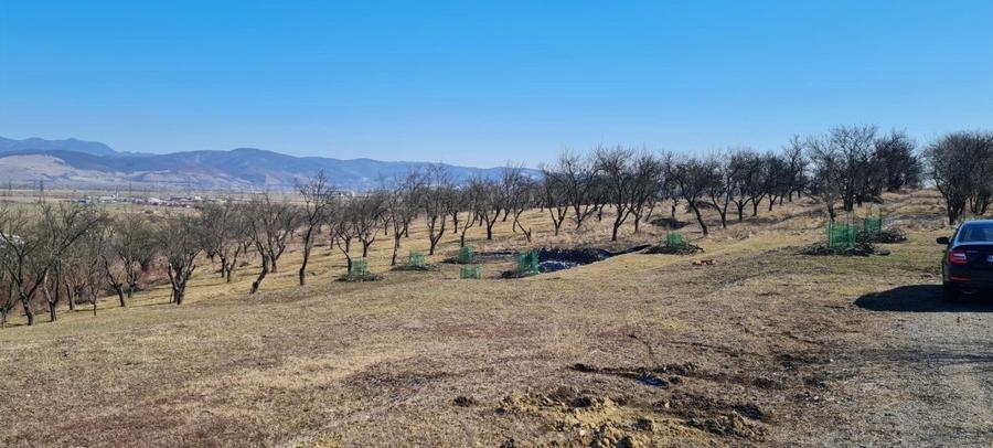 Teren Construcții intravilan de 1400 mp, în 700