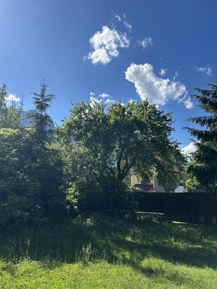 Teren Construcții intravilan de 400 mp, în Zamora