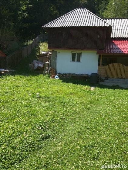 Teren de 2000 mp, în Bradu