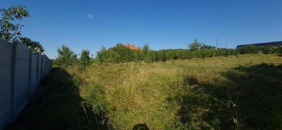 Teren  8 227 mp + Casa demolabila de vanzare in Filiasi -  Fratostita Dolj - 3