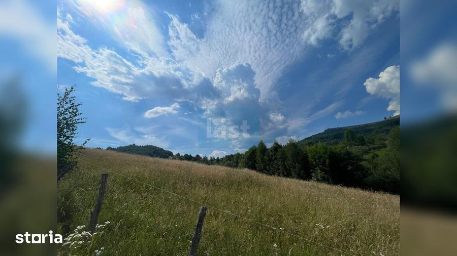 Teren de 20000 mp, în Săcuieu