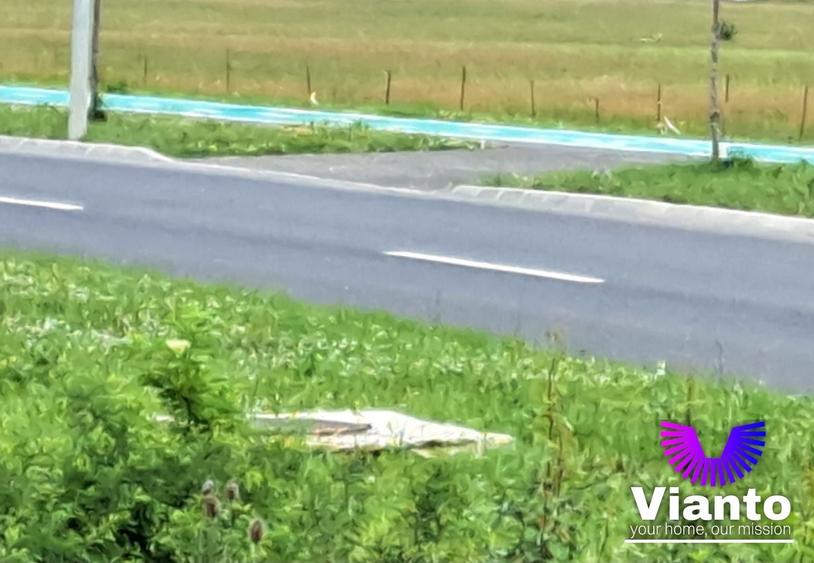 Teren Construcții intravilan de 9000 mp, în Turnișor