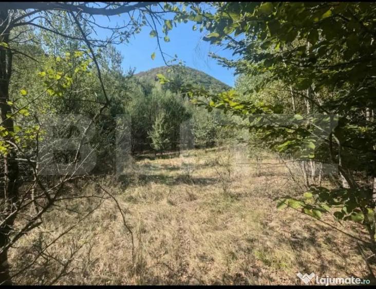 Teren extravilan de vanzare, 3.5 ha padure + pasune in Comun - 2