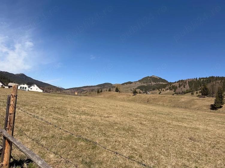 Teren de 20000 mp, în Ciocănești