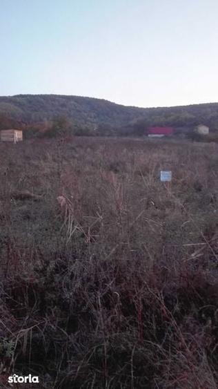 Teren de 1100 mp, în Florești