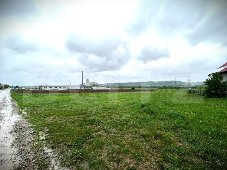 Teren Construcții intravilan de 102000 mp, în Burdujeni